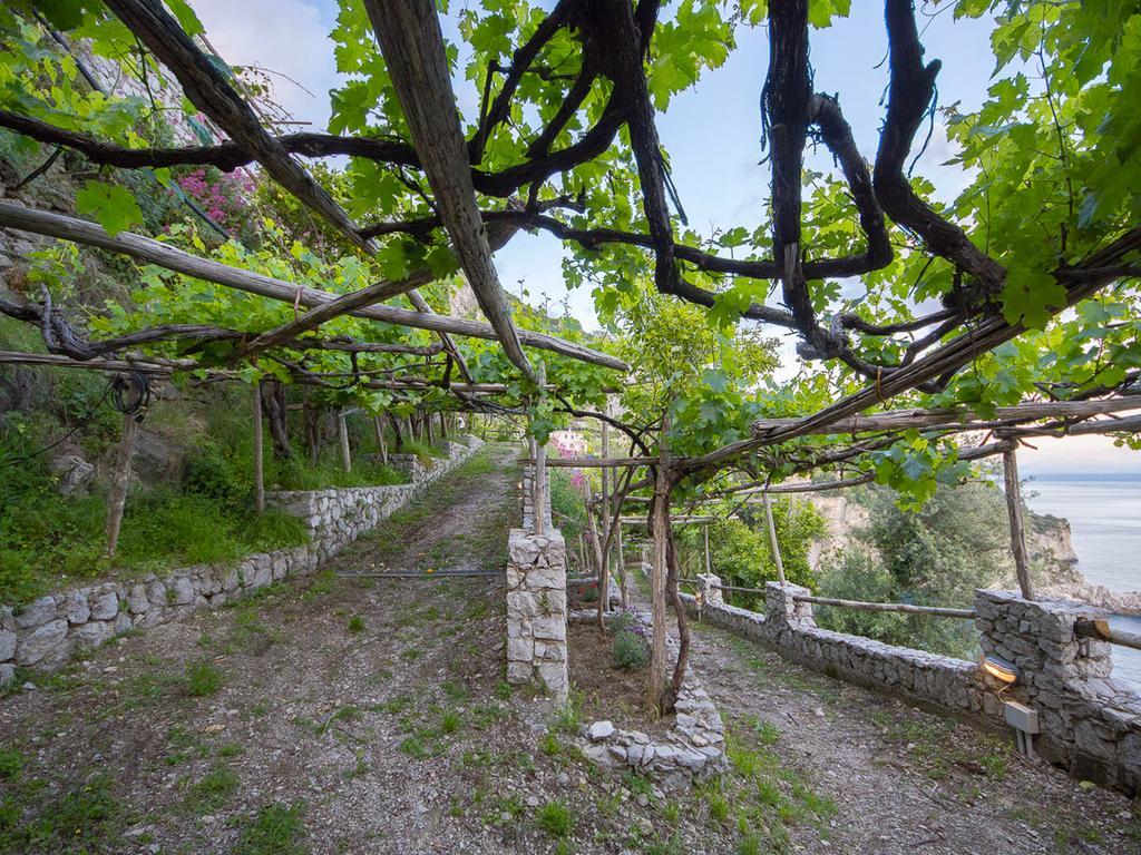 Agroturismo Cannaverde - Amalfi Coast Camp *
