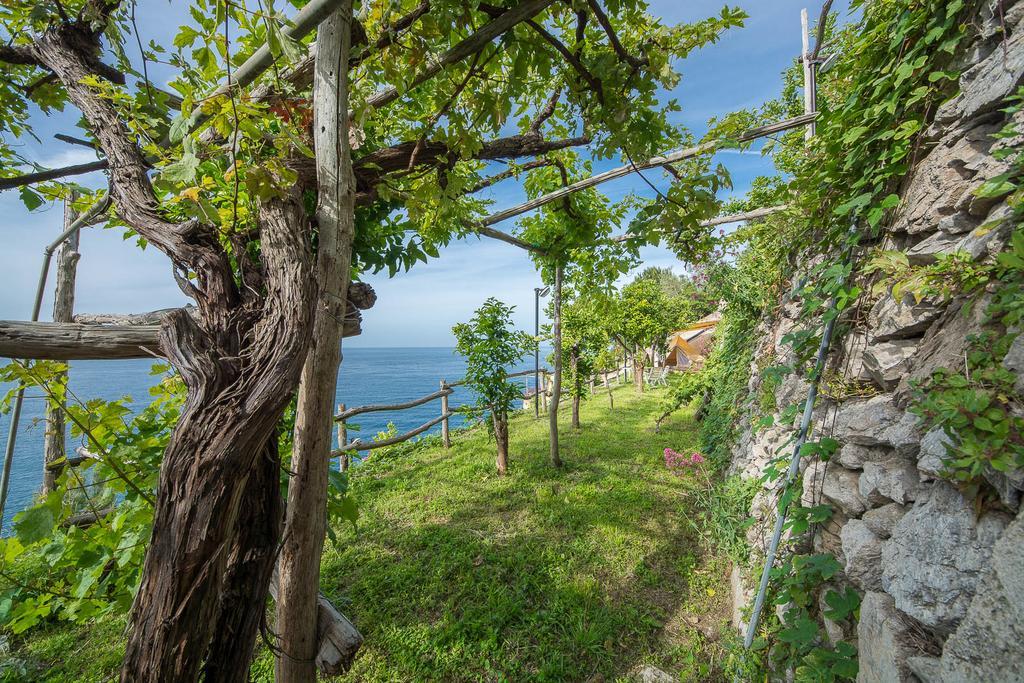 Agroturismo Cannaverde - Amalfi Coast Camp Maiori